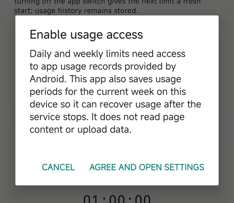 2. Read the explanation and grant access
