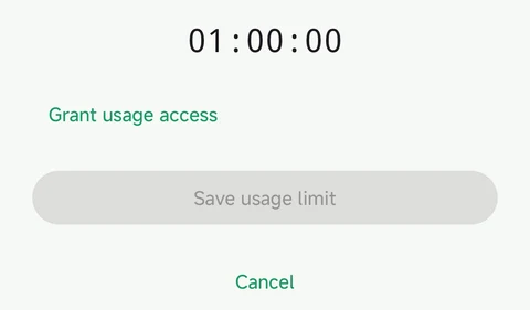 1. Tap the access prompt in the rule screen